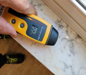 Mold Inspection service near me